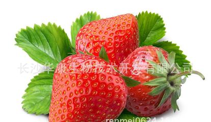 【【低价现货】草莓提取物 草莓多酚 十年工厂】价格_厂家_图片